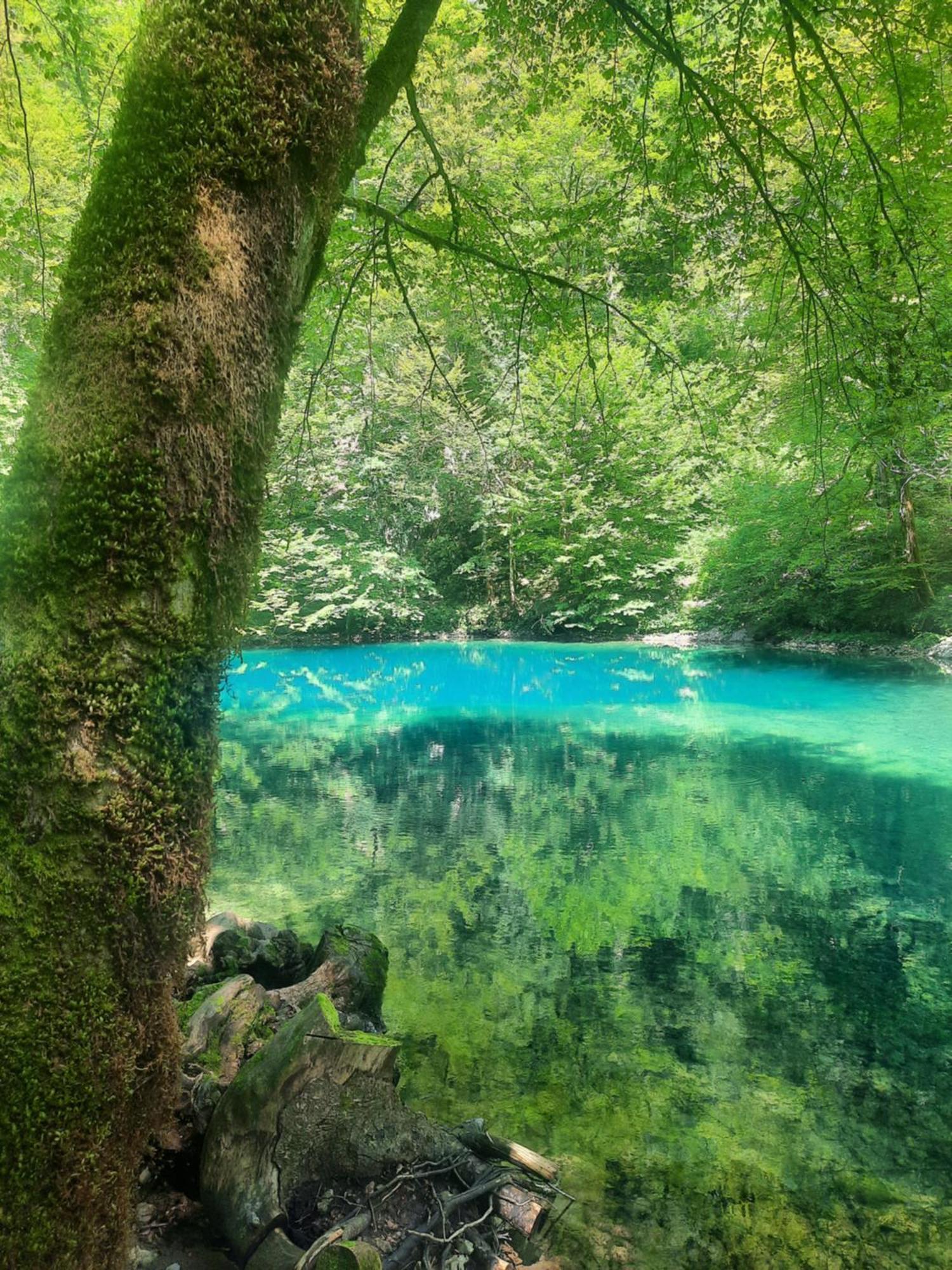 Malnar